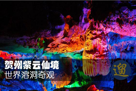 逗小猴开心系列213